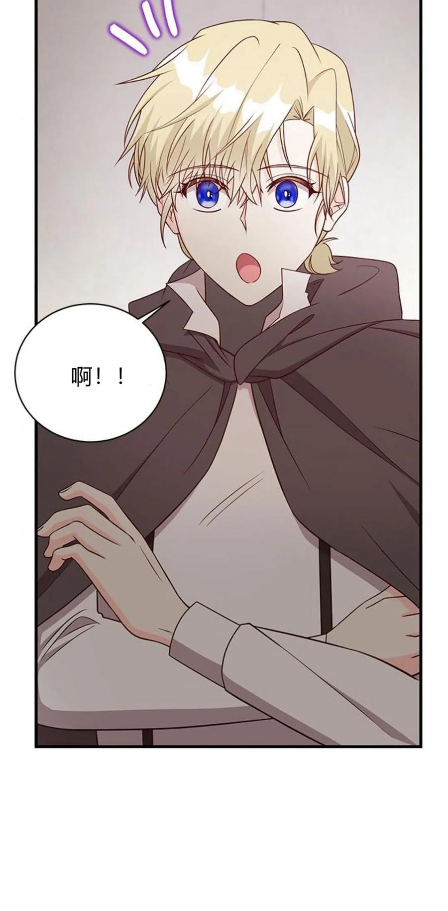 伯爵小姐的双重生活 第47话 第74页