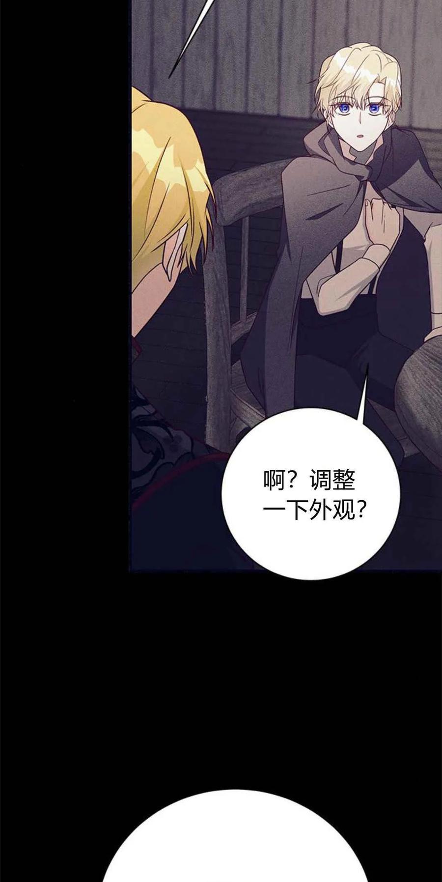 伯爵小姐的双重生活 第48话 第19页