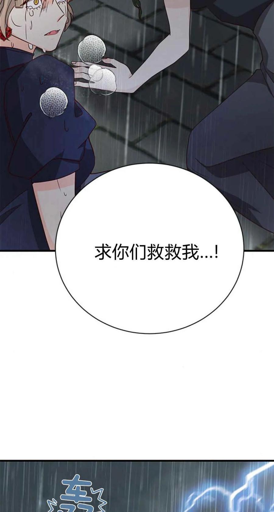 伯爵小姐的双重生活 第48话 第68页