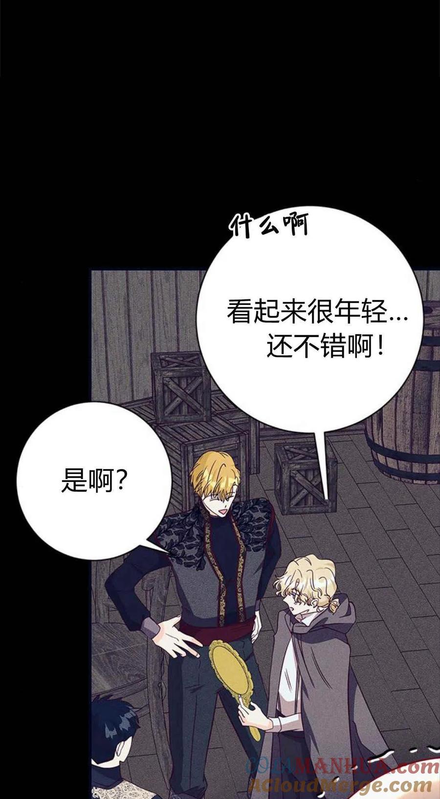 伯爵小姐的双重生活 第48话 第29页