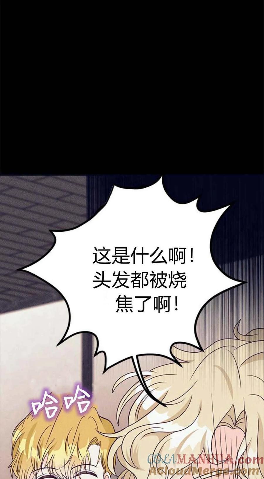 伯爵小姐的双重生活 第48话 第25页