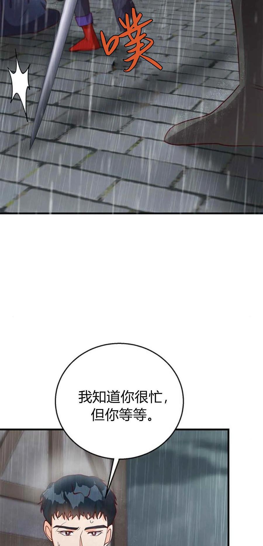 伯爵小姐的双重生活 第48话 第79页
