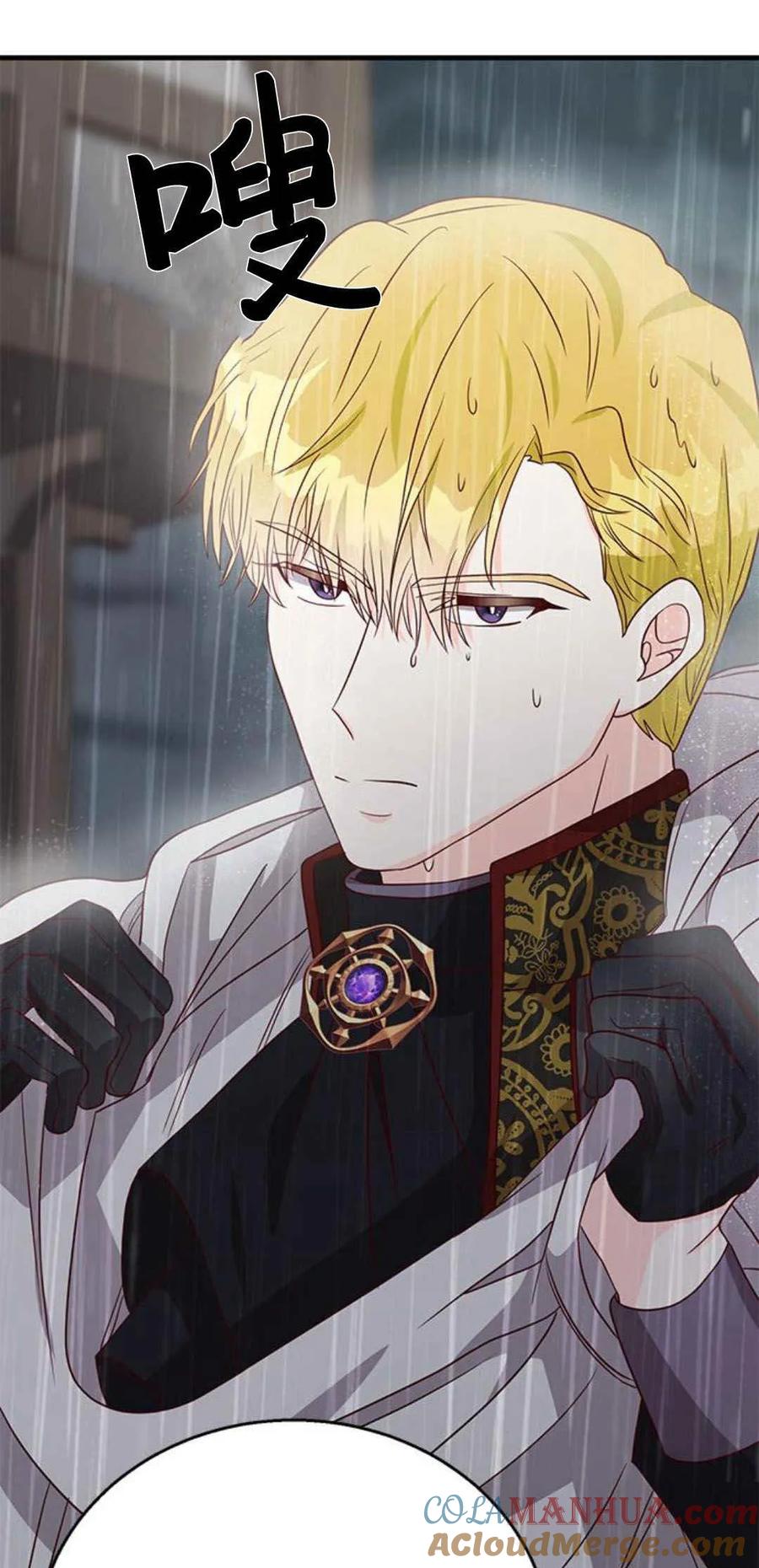 伯爵小姐的双重生活 第48话 第81页