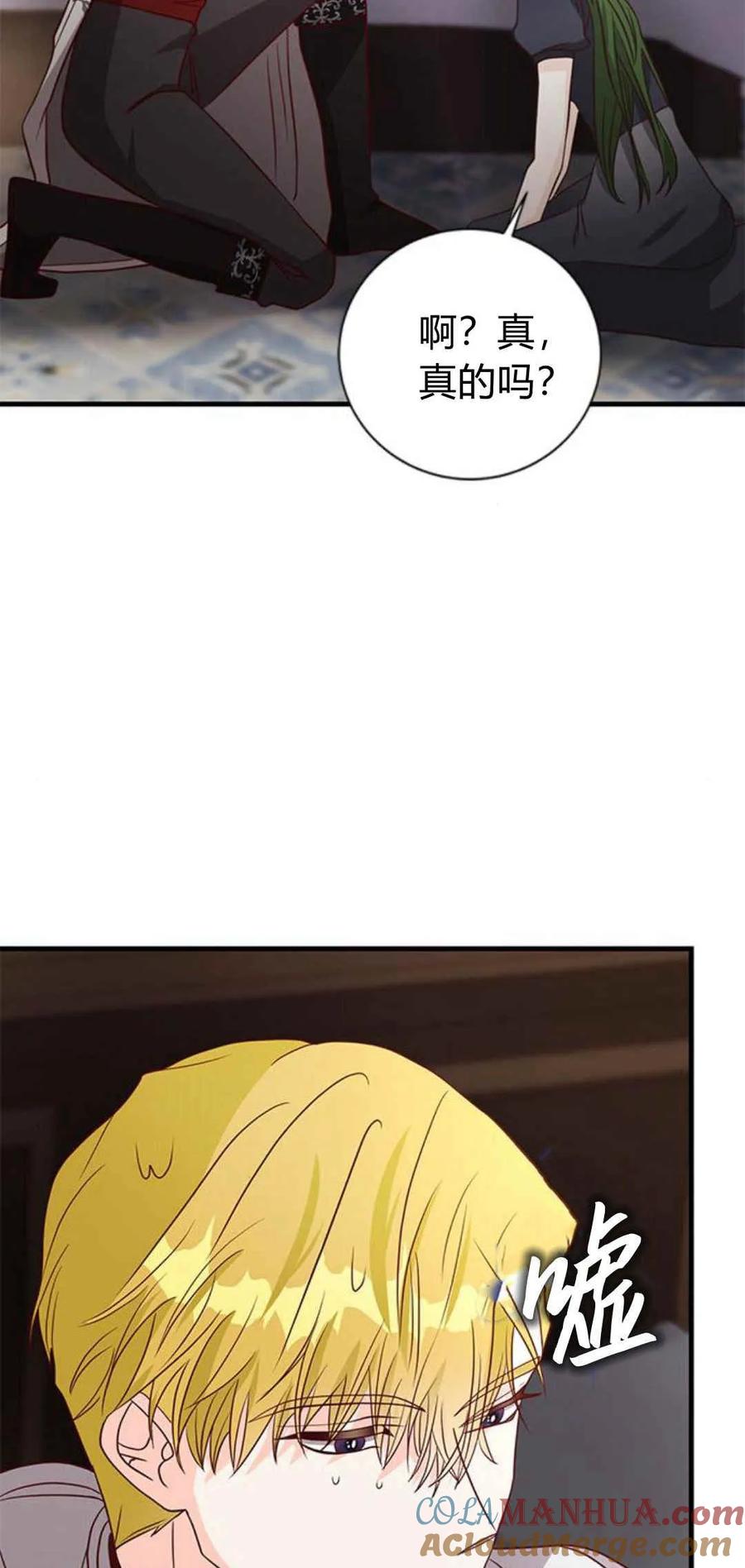 伯爵小姐的双重生活 第48话 第109页