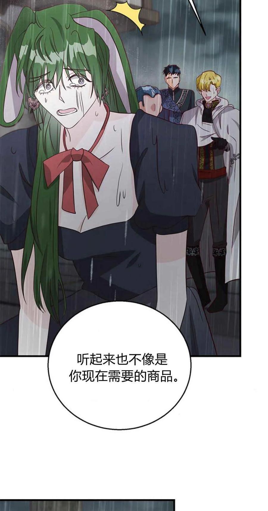 伯爵小姐的双重生活 第48话 第95页