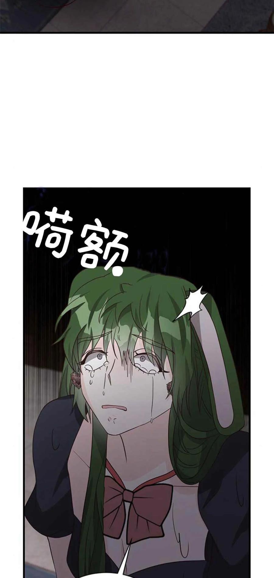 伯爵小姐的双重生活 第48话 第102页