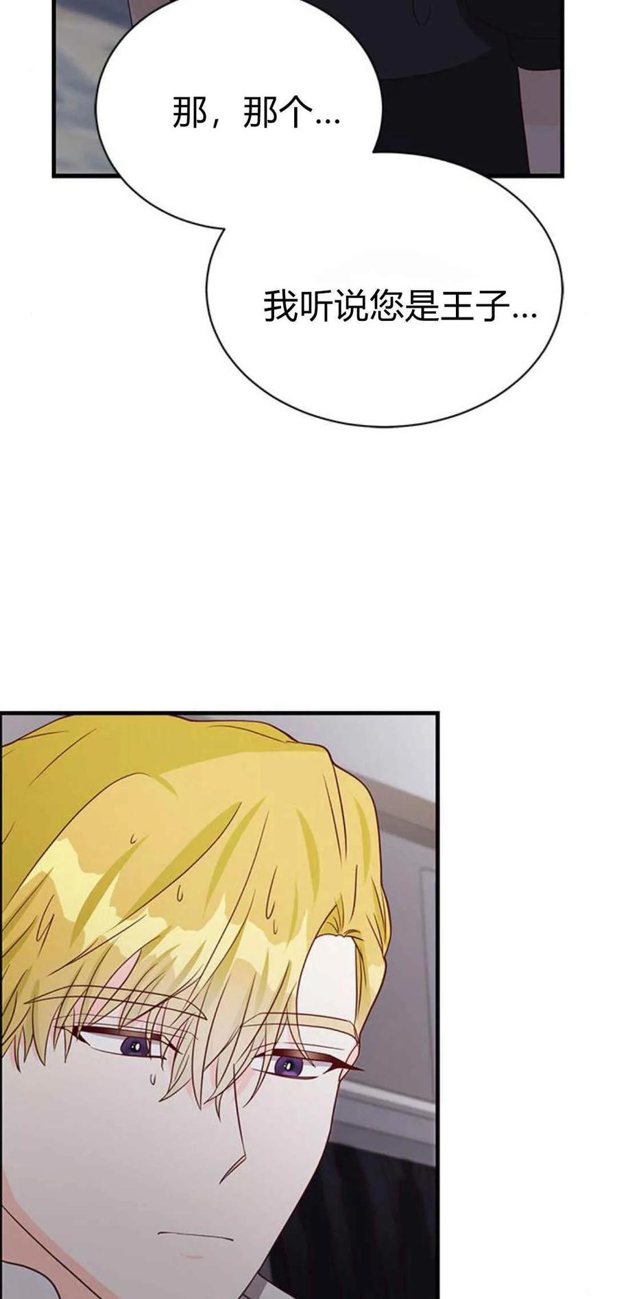 伯爵小姐的双重生活 第48话 第103页