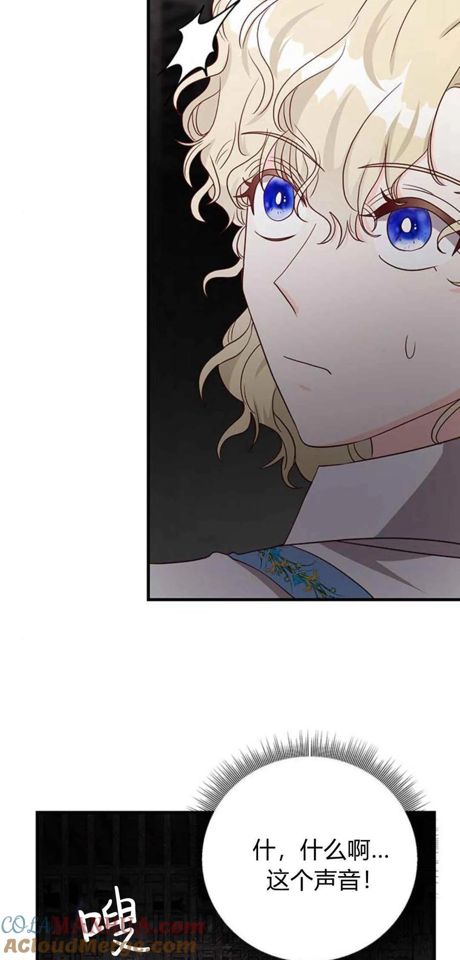 伯爵小姐的双重生活 第48话 第117页