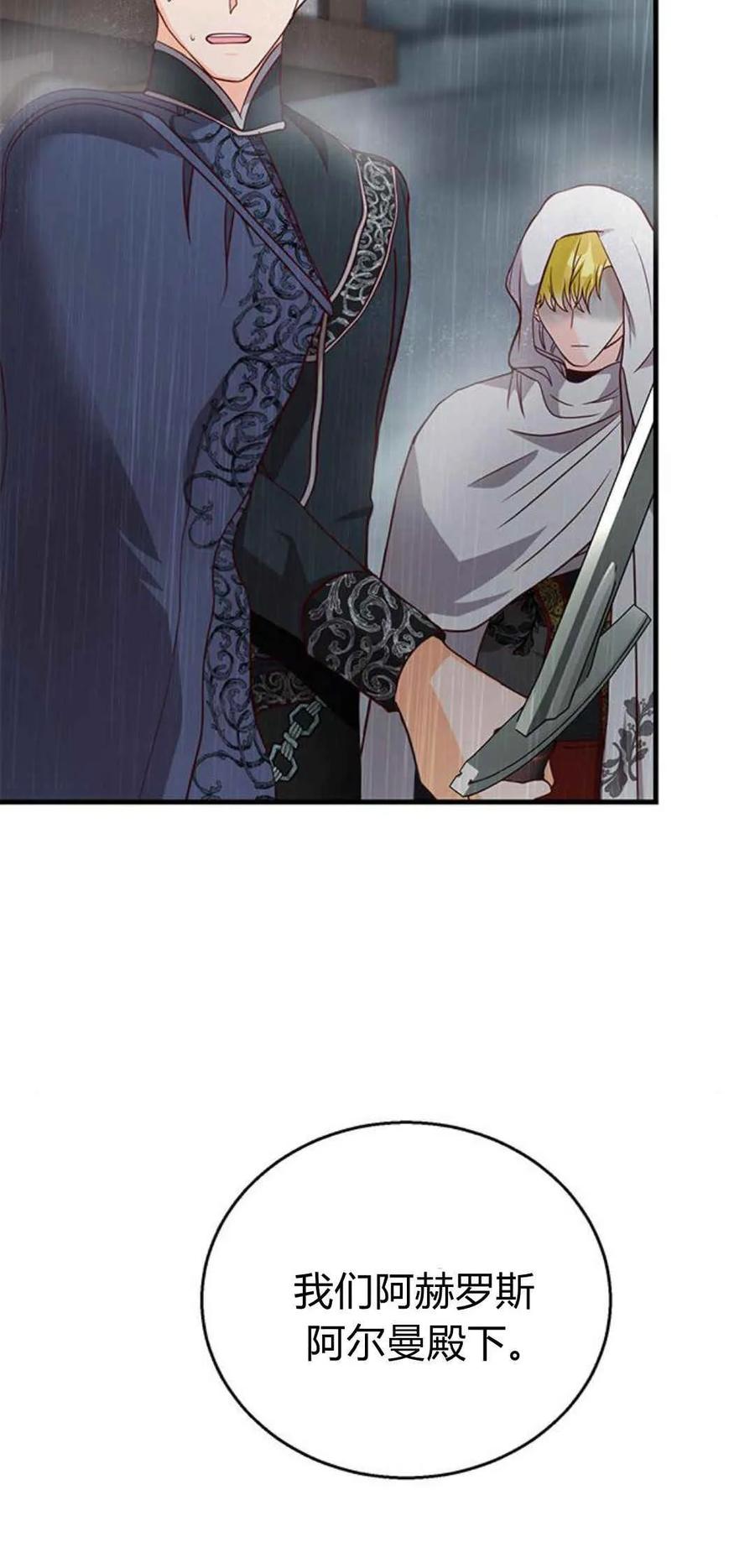 伯爵小姐的双重生活 第48话 第80页