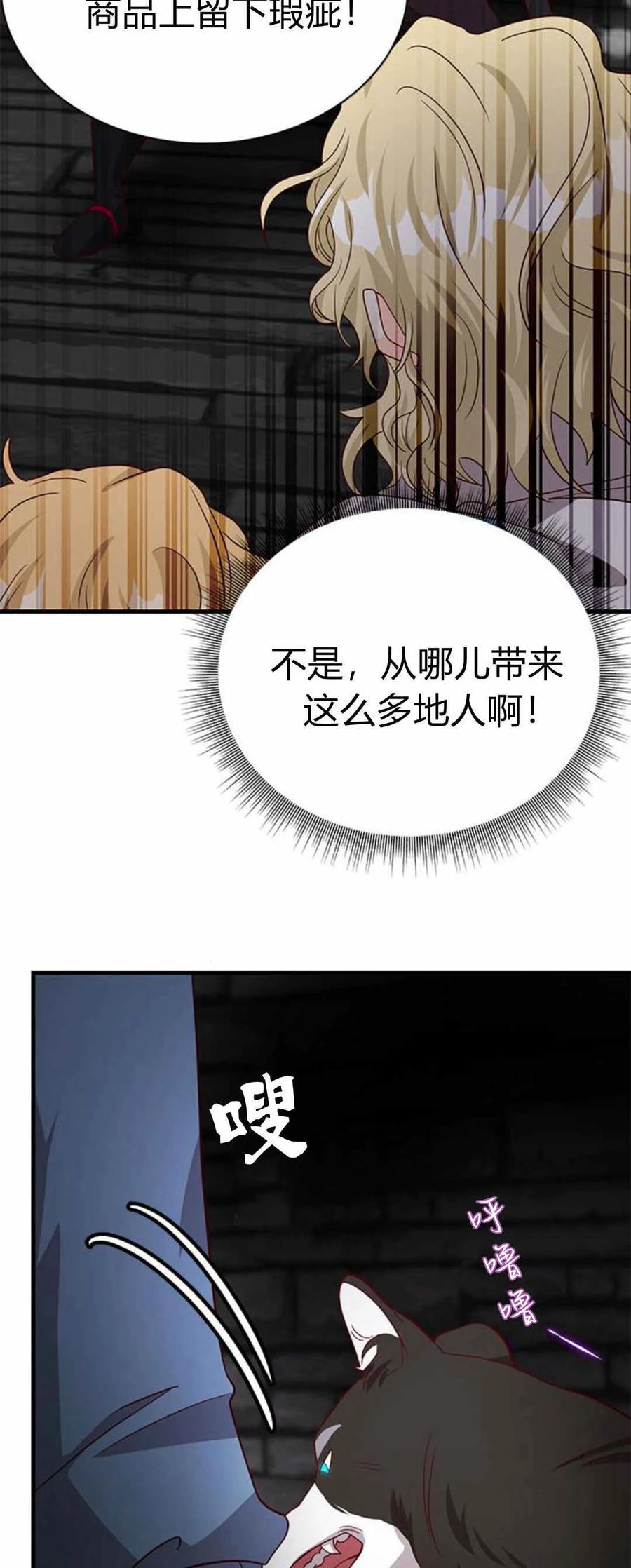 伯爵小姐的双重生活 第49话 第26页