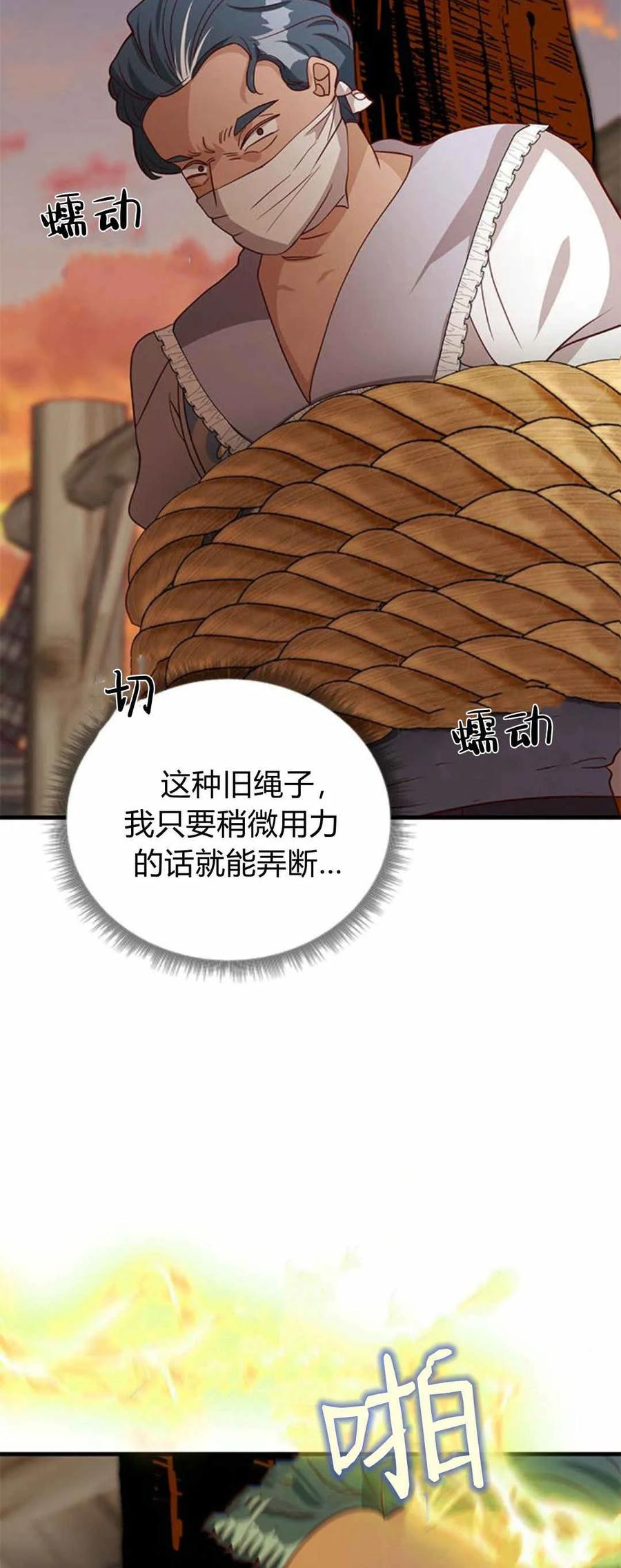 伯爵小姐的双重生活 第49话 第47页