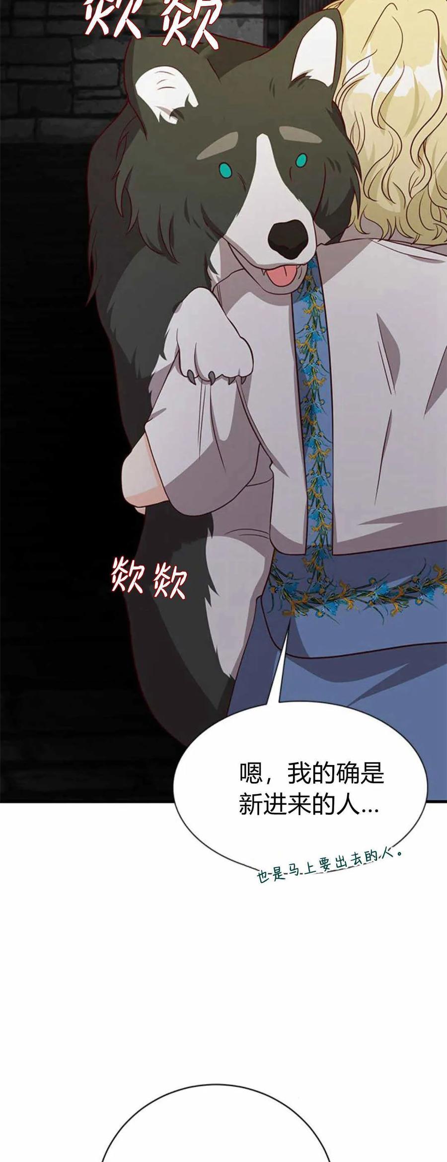 伯爵小姐的双重生活 第49话 第14页