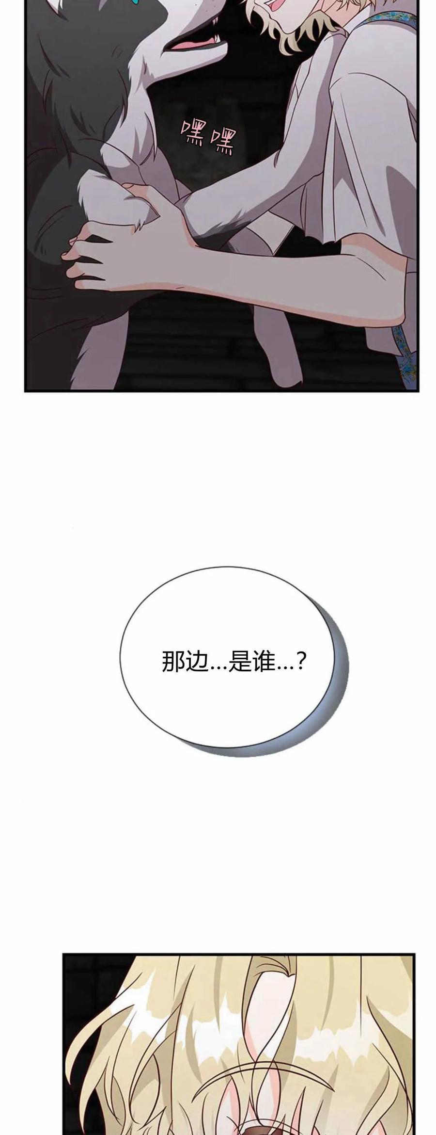 伯爵小姐的双重生活 第49话 第12页