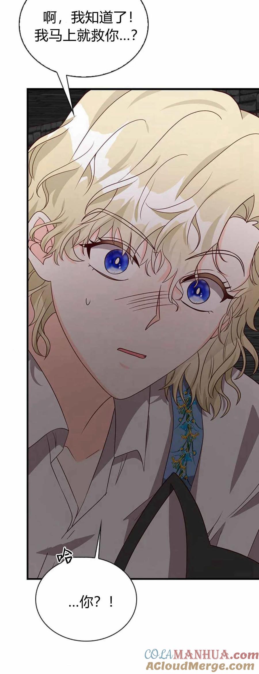 伯爵小姐的双重生活 第49话 第16页