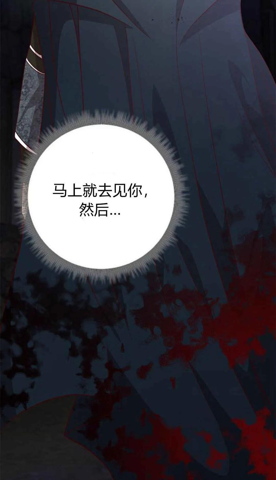 伯爵小姐的双重生活 第50话 第98页
