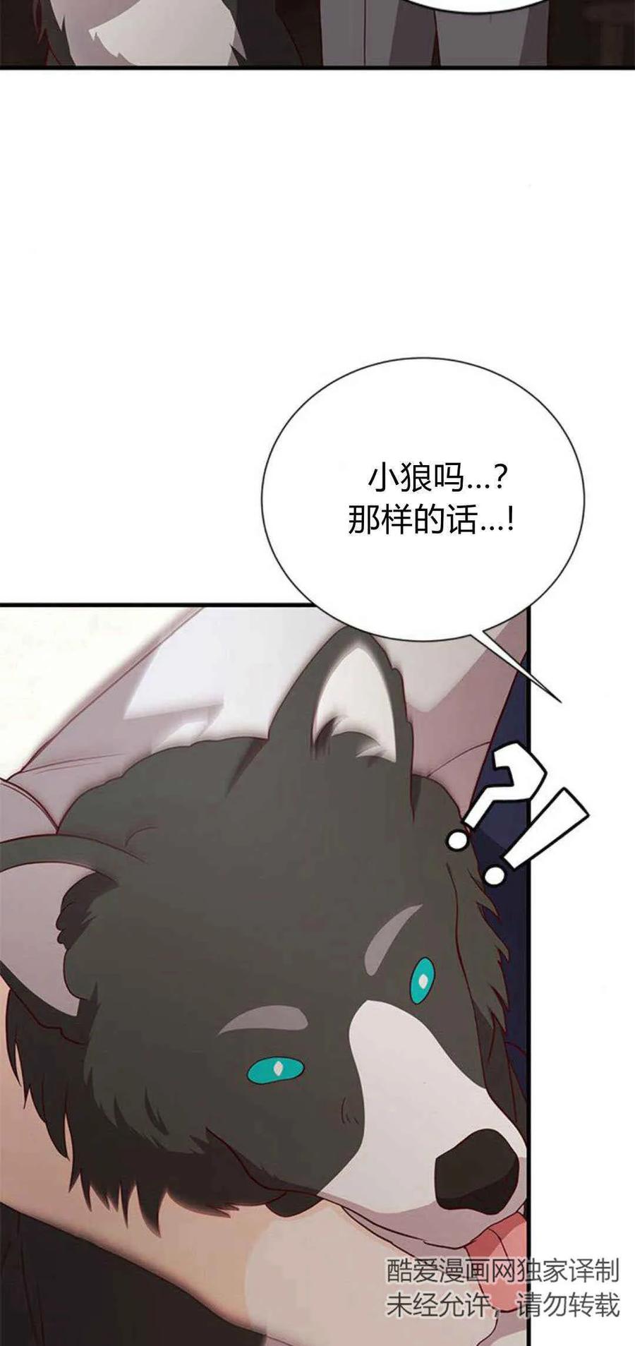 伯爵小姐的双重生活 第50话 第36页