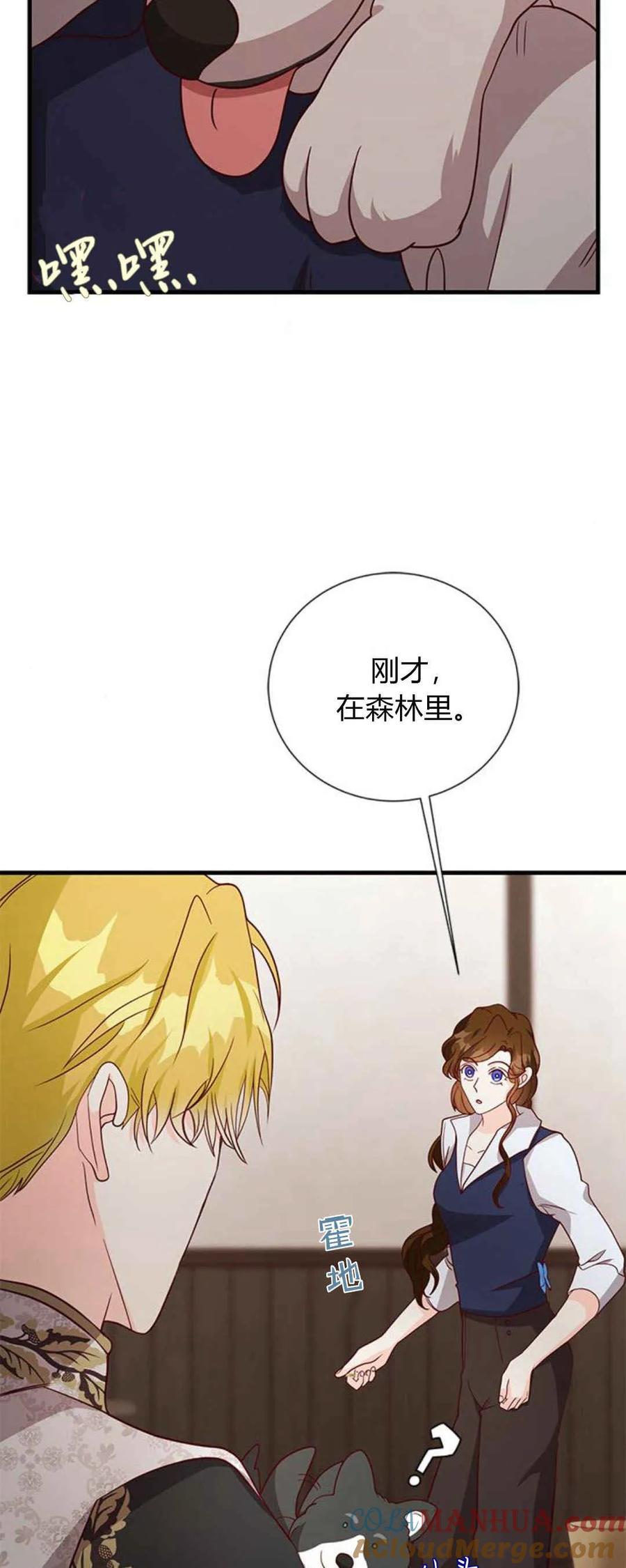 伯爵小姐的双重生活 第50话 第13页