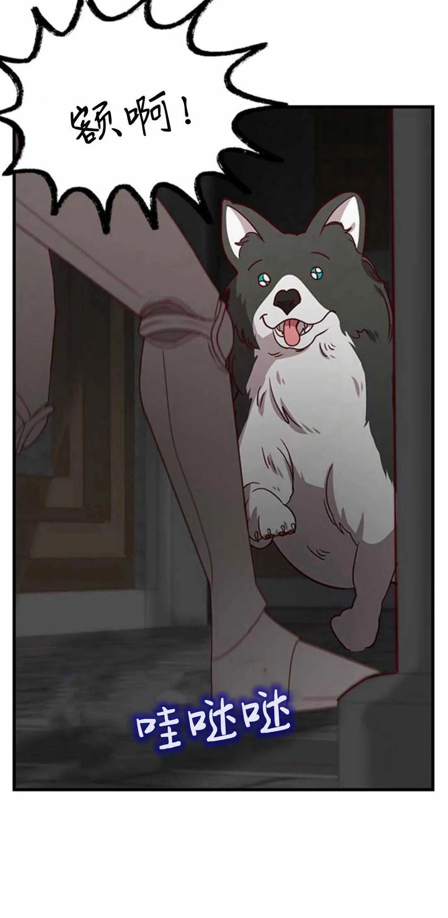 伯爵小姐的双重生活 第51话 第10页