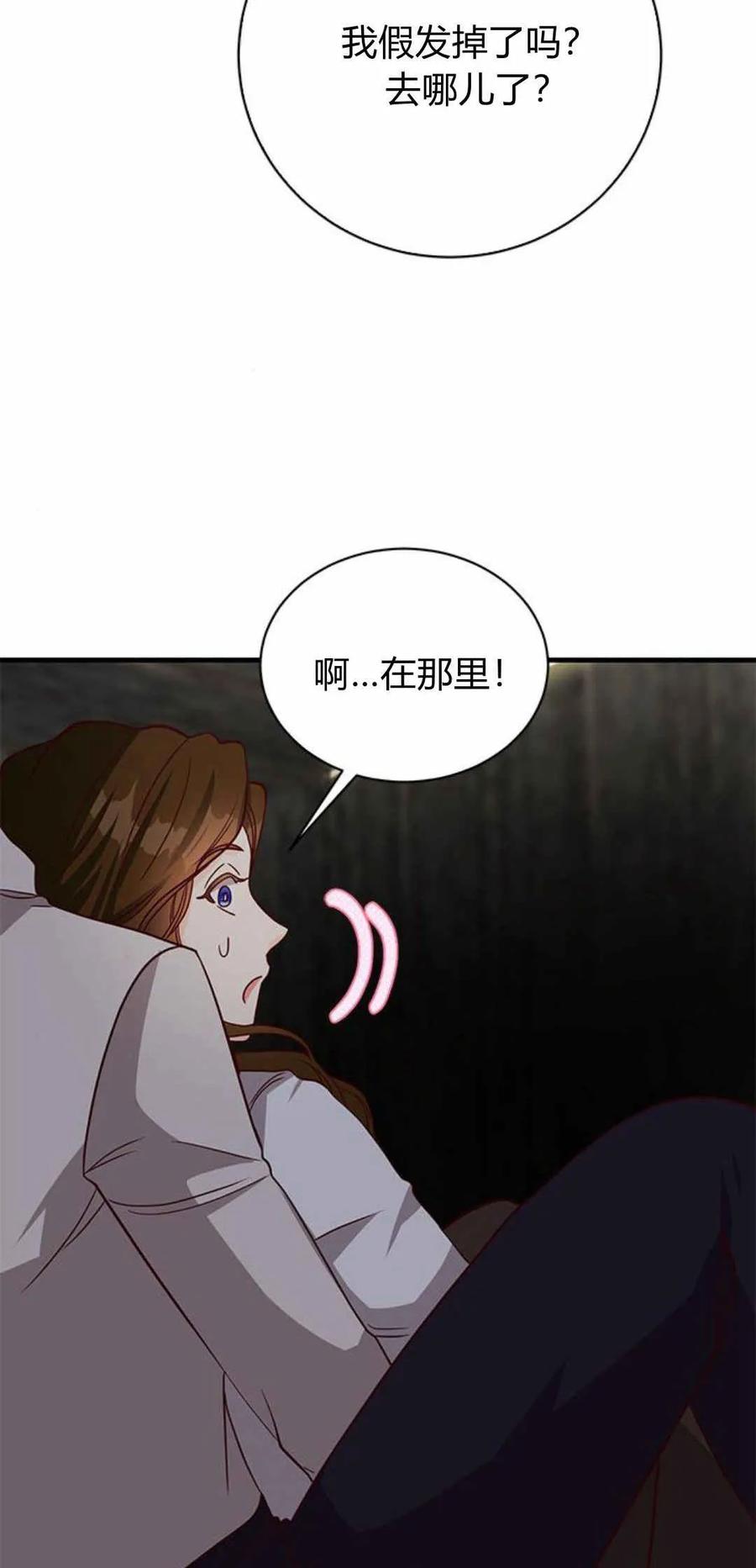 伯爵小姐的双重生活 第51话 第96页
