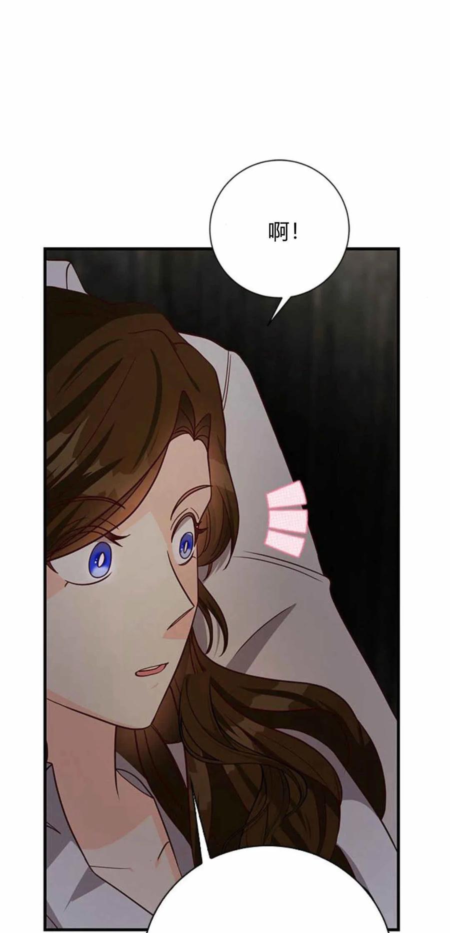 伯爵小姐的双重生活 第51话 第95页