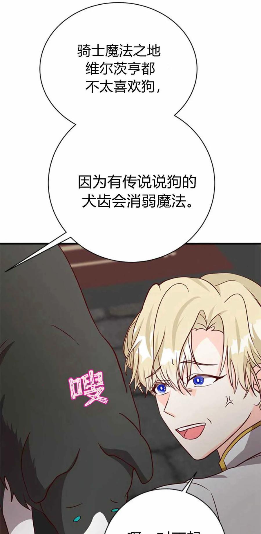 伯爵小姐的双重生活 第51话 第16页