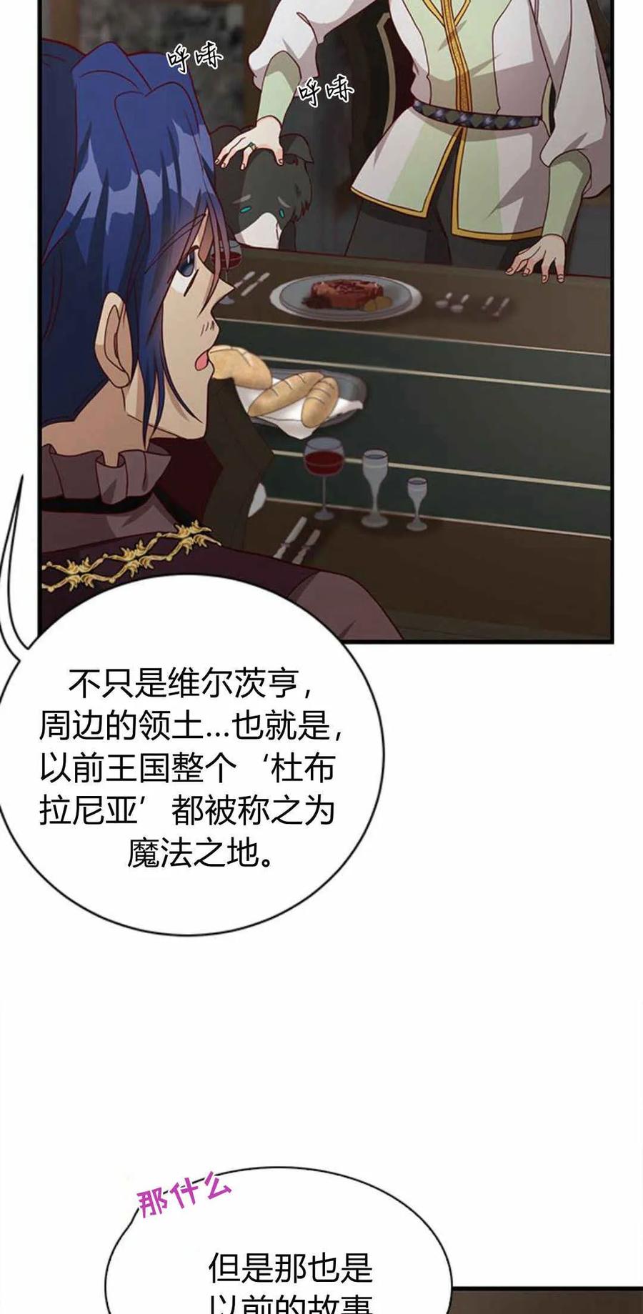 伯爵小姐的双重生活 第51话 第19页