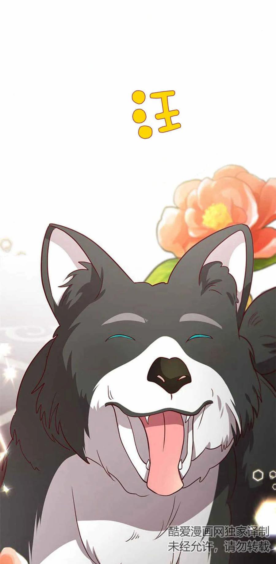 伯爵小姐的双重生活 第51话 第11页