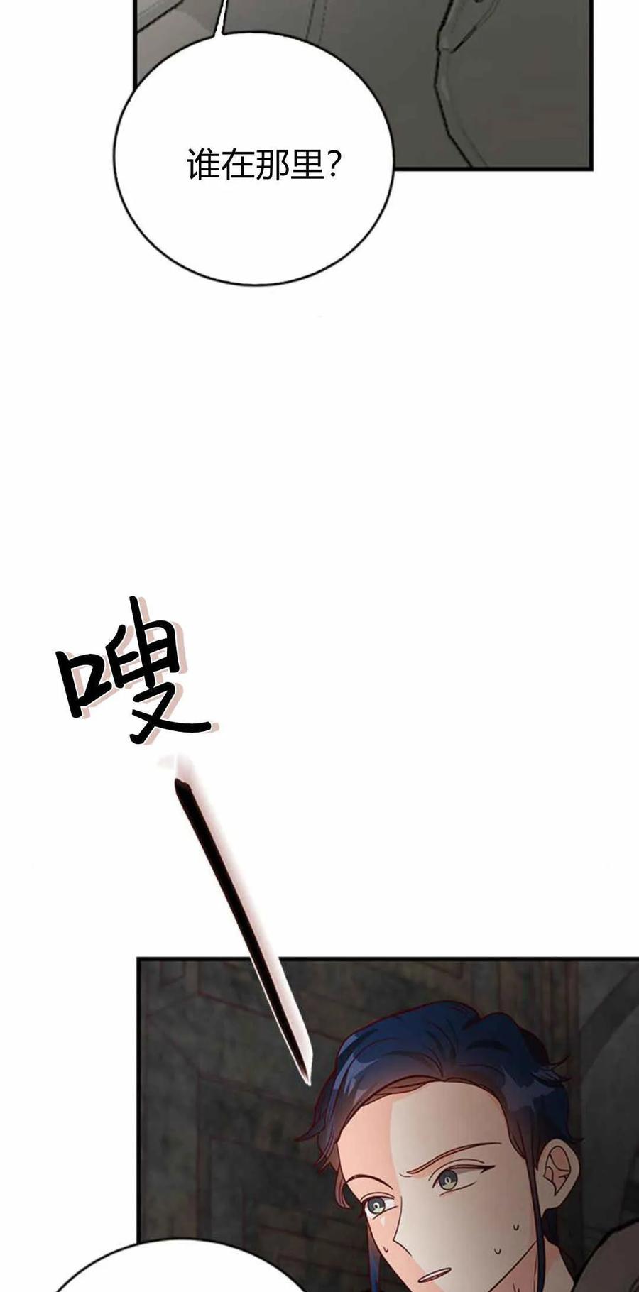 伯爵小姐的双重生活 第51话 第75页