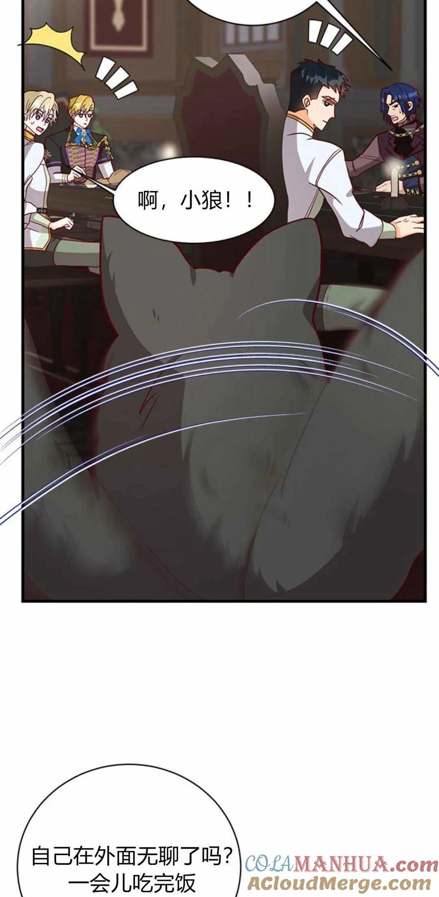伯爵小姐的双重生活 第51话 第13页