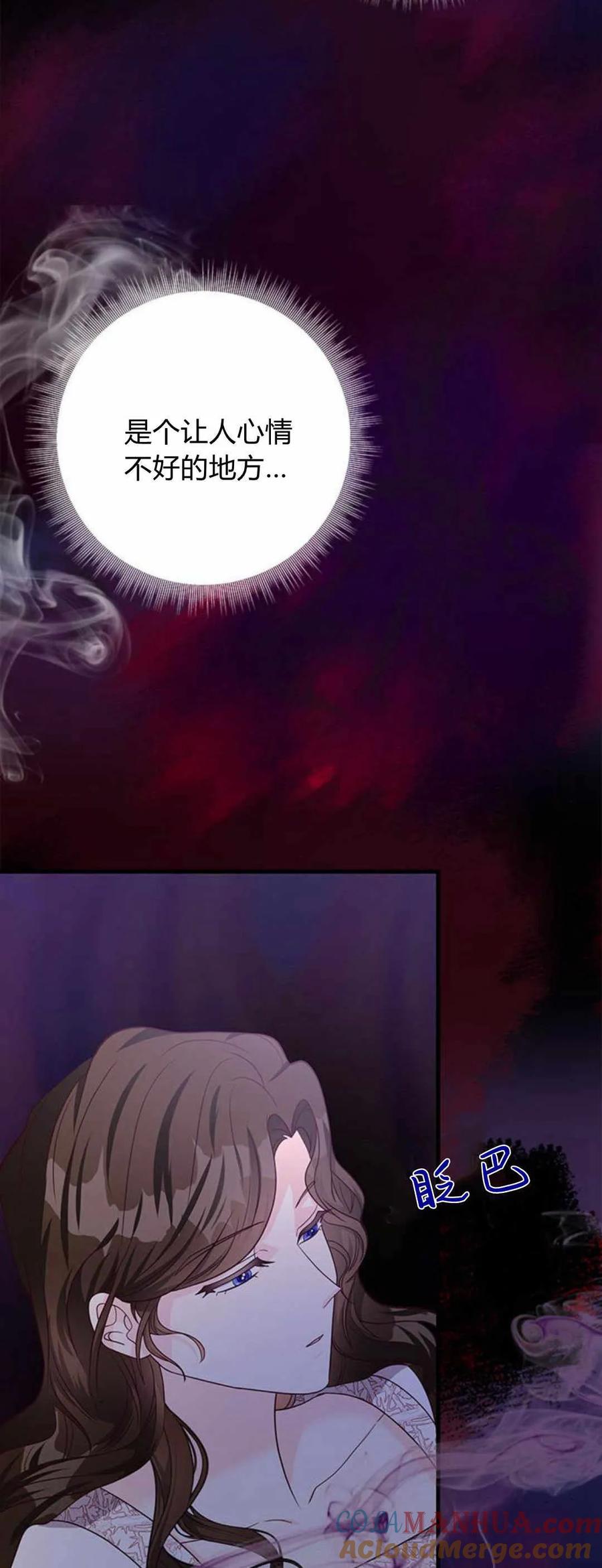 伯爵小姐的双重生活 第52话 第52页