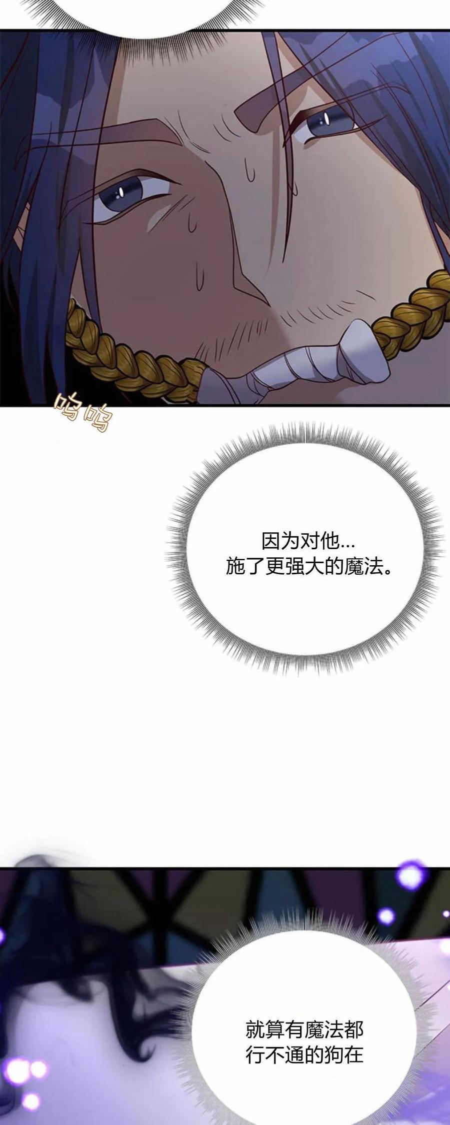 伯爵小姐的双重生活 第52话 第95页