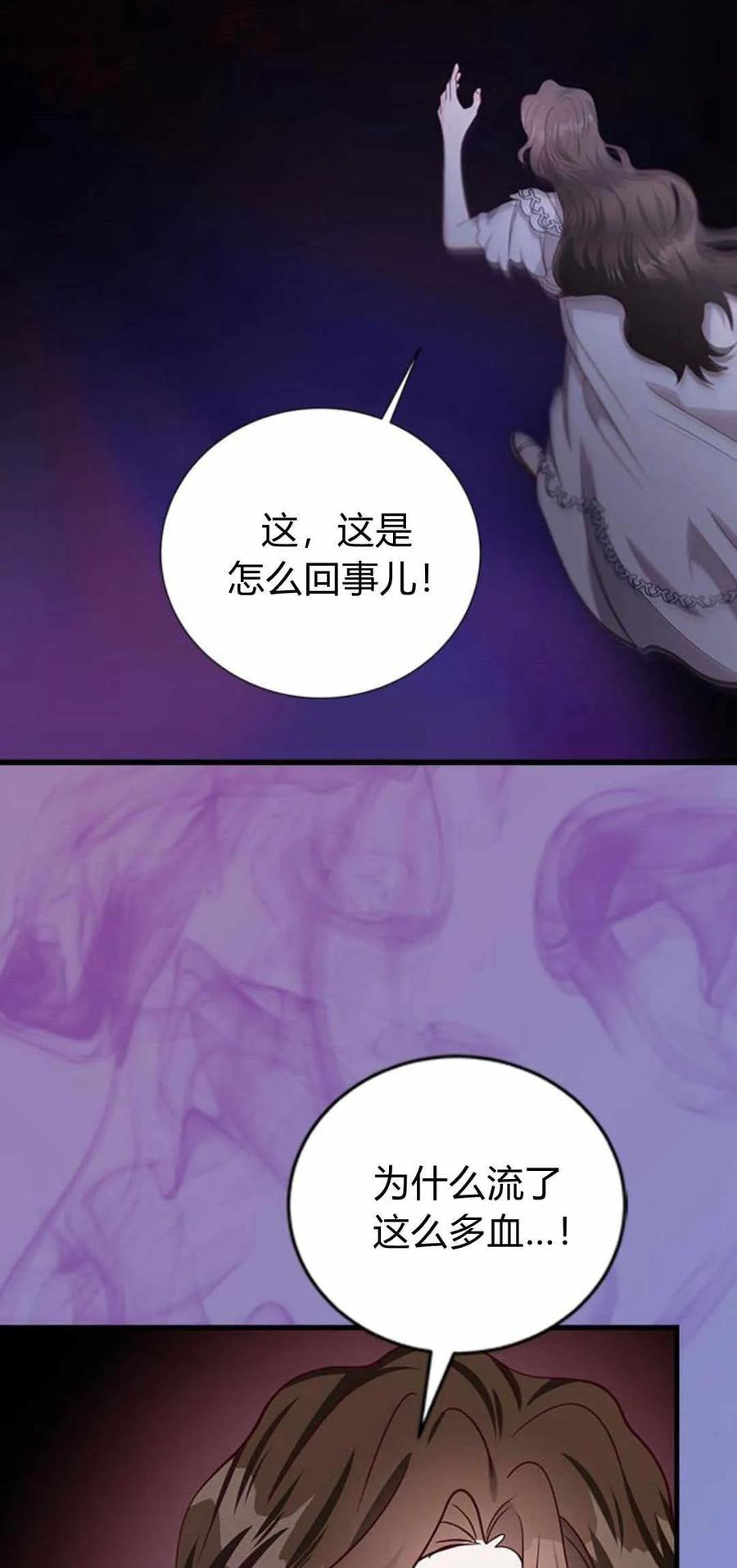 伯爵小姐的双重生活 第52话 第57页