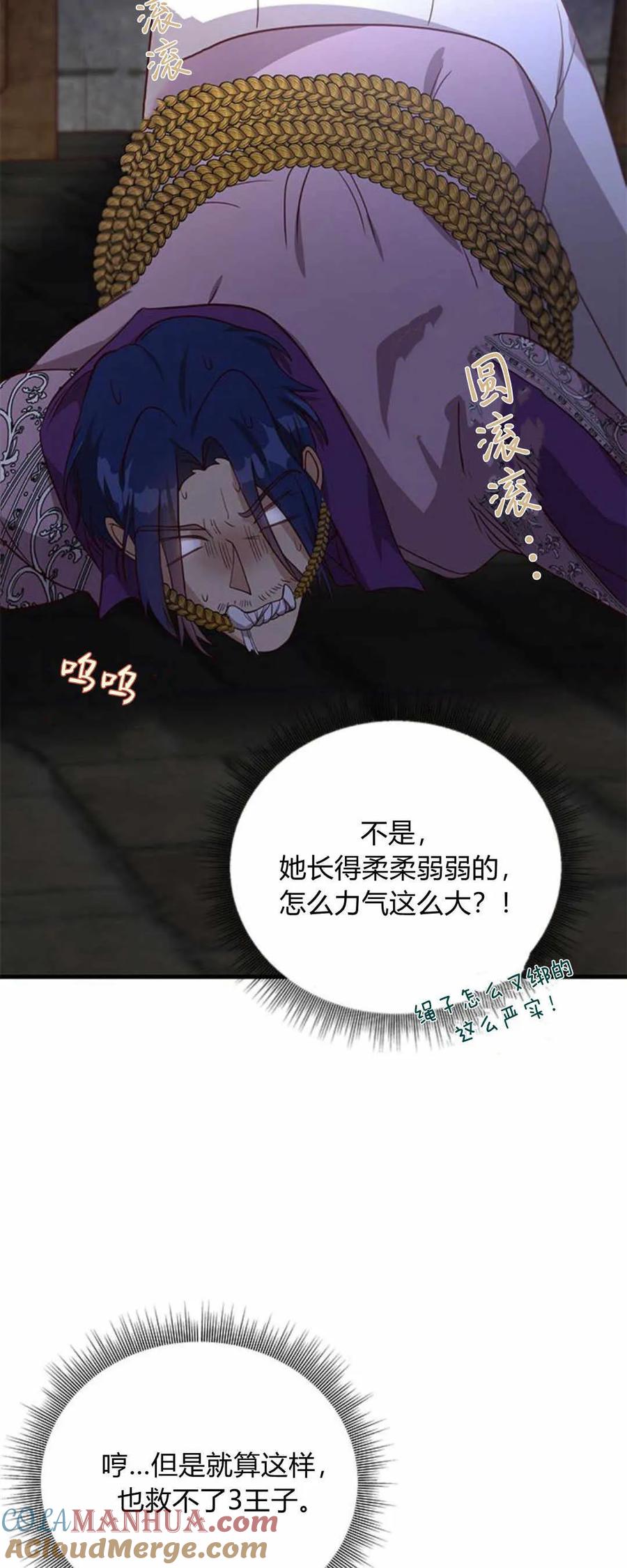 伯爵小姐的双重生活 第52话 第94页