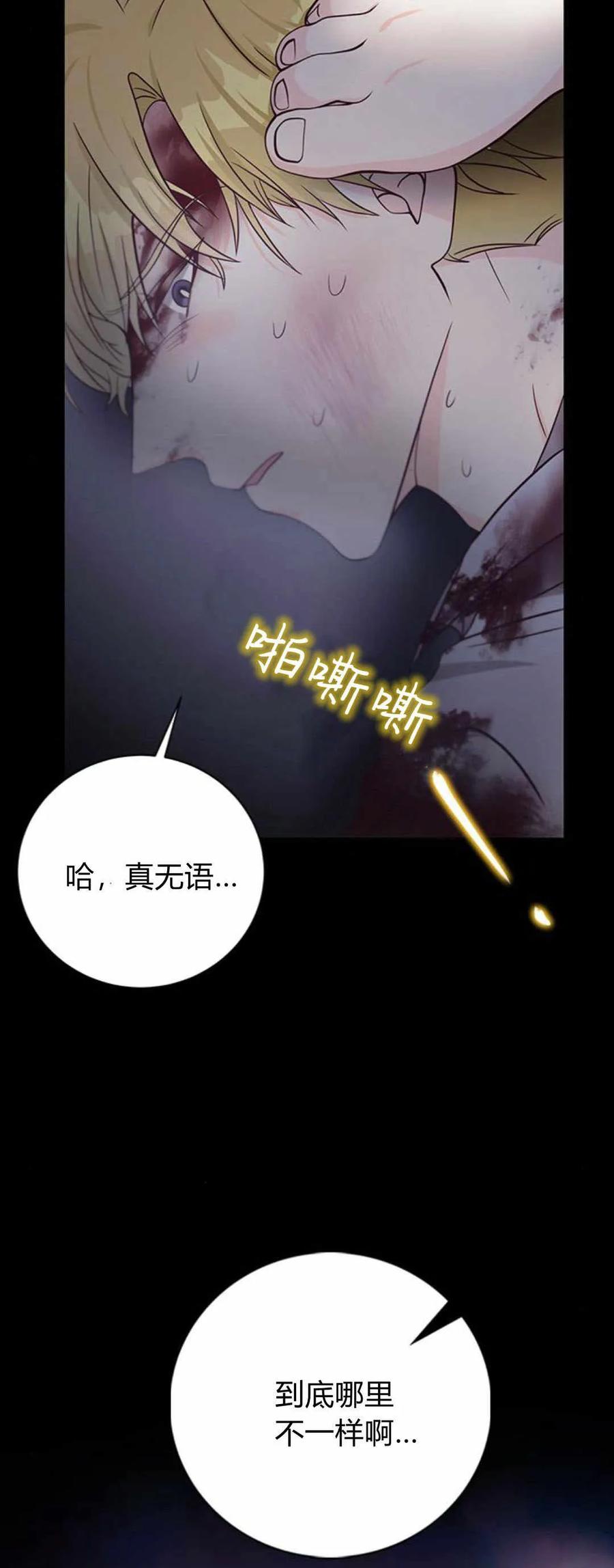 伯爵小姐的双重生活 第52话 第77页