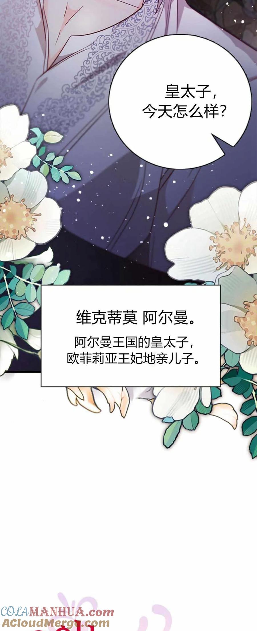 伯爵小姐的双重生活 第52话 第19页