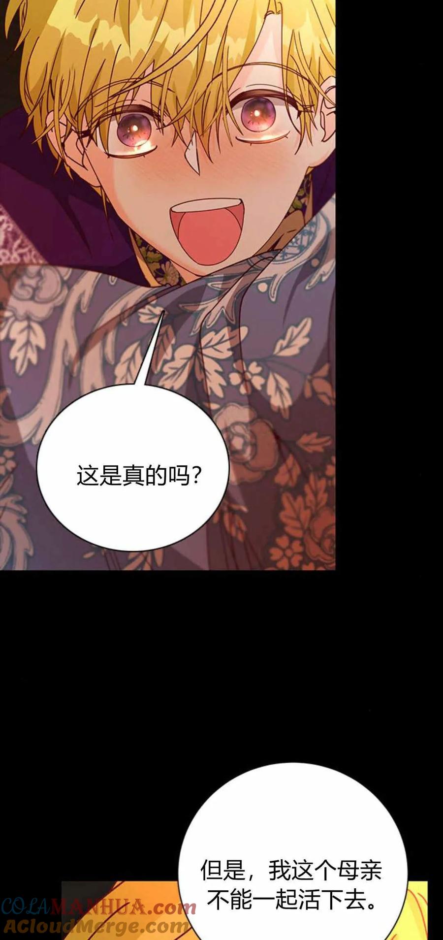 伯爵小姐的双重生活 第53话 第73页