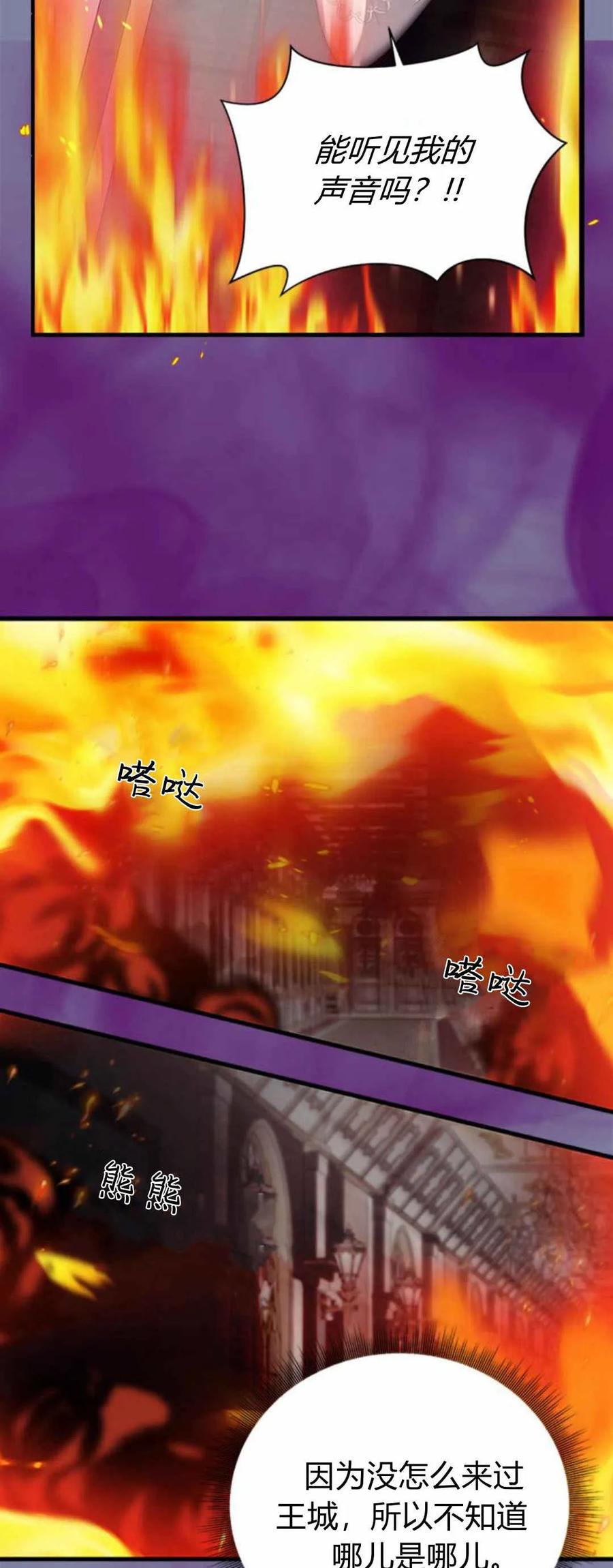 伯爵小姐的双重生活 第53话 第55页