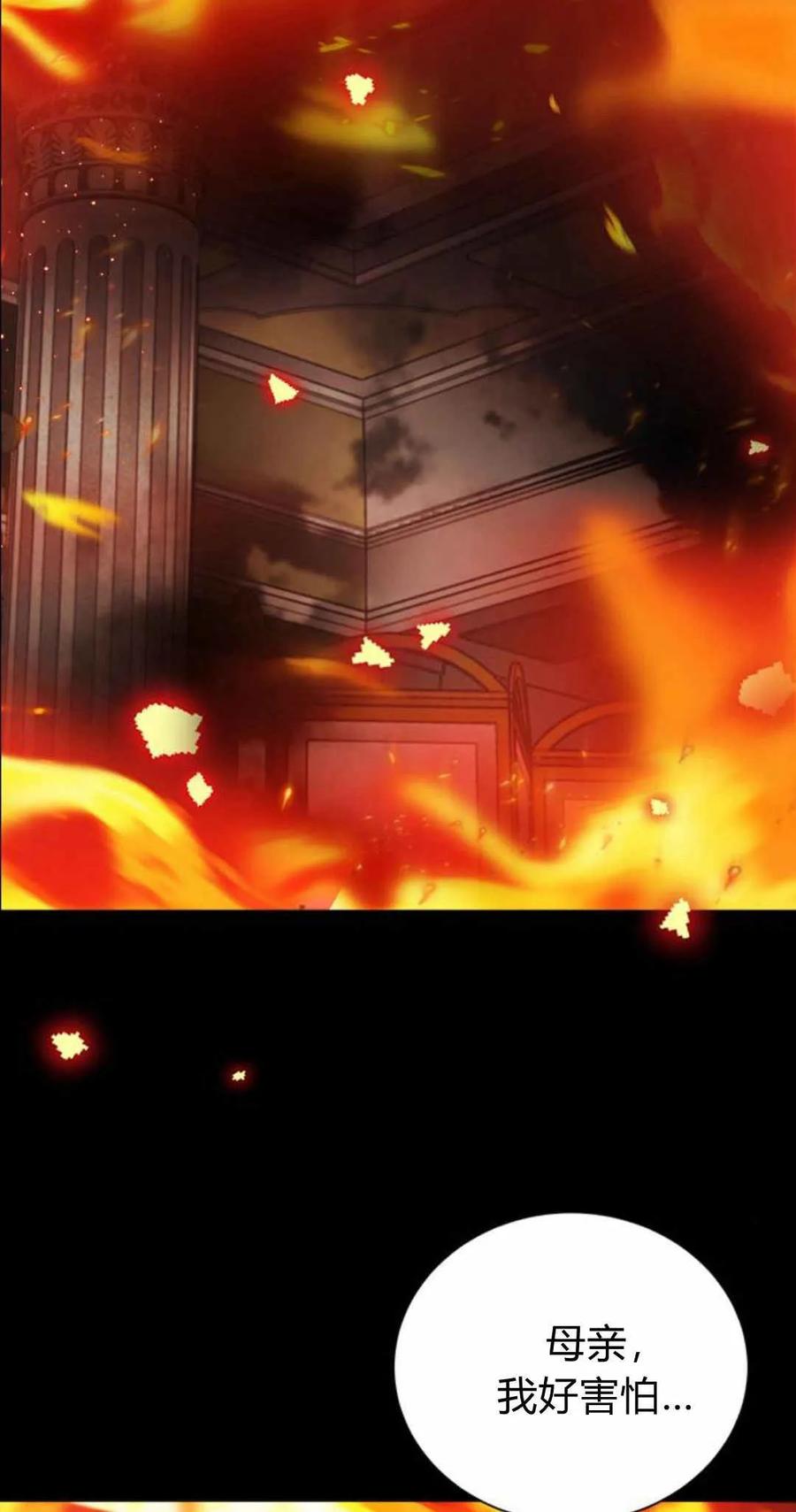 伯爵小姐的双重生活 第53话 第67页