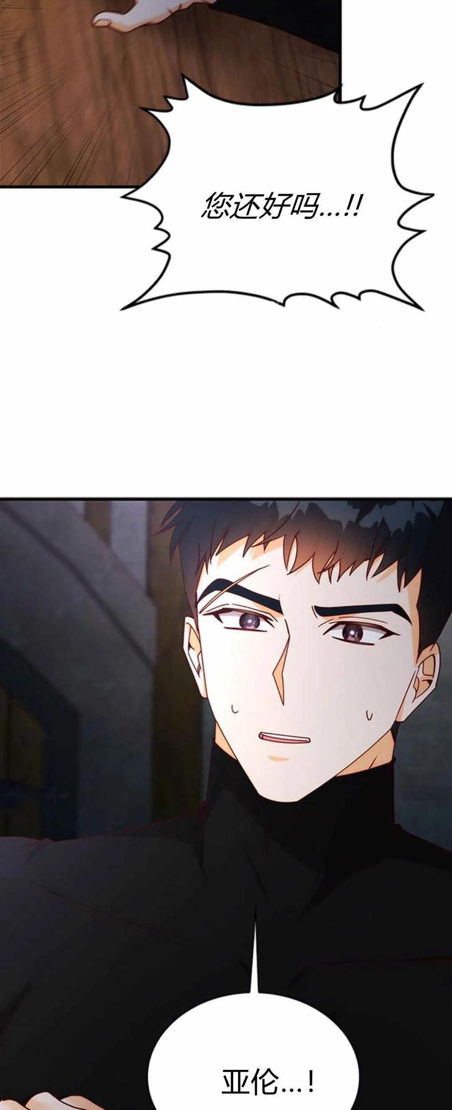 伯爵小姐的双重生活 第53话 第107页