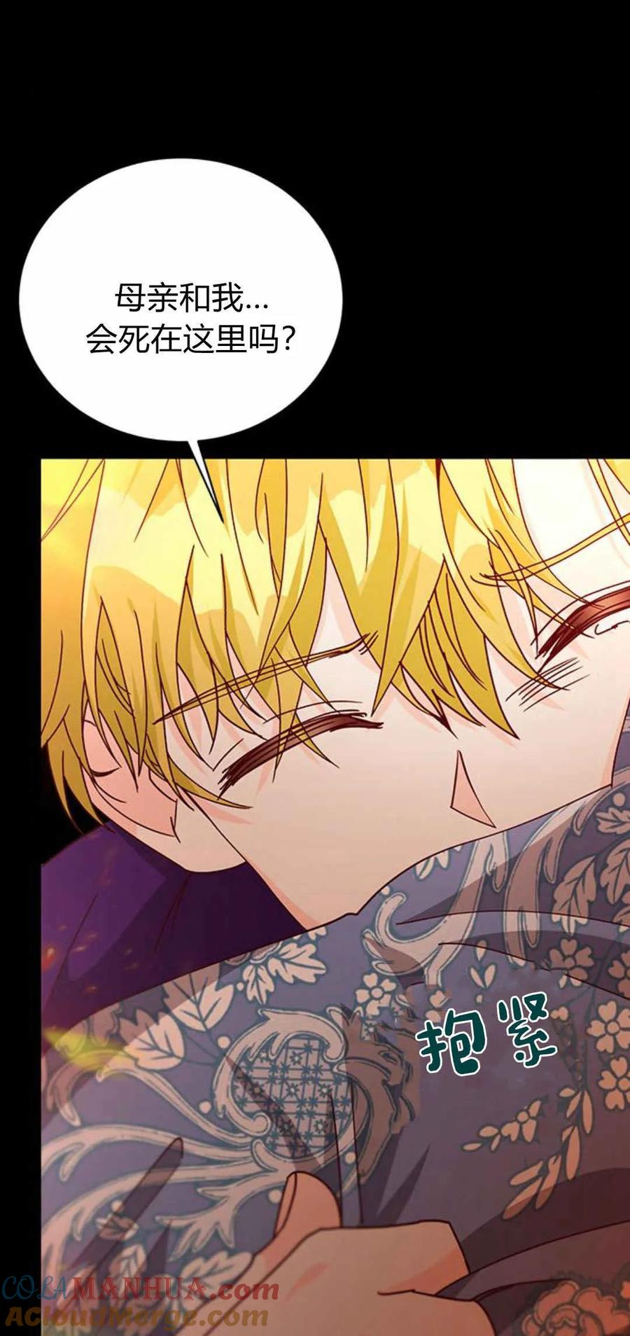 伯爵小姐的双重生活 第53话 第69页