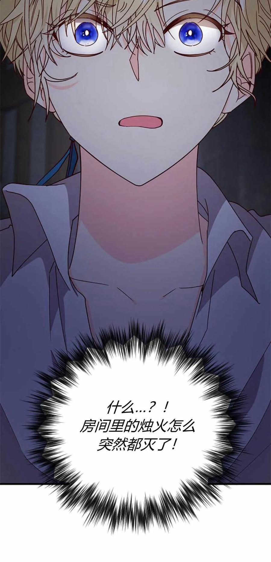 伯爵小姐的双重生活 第54话 第24页