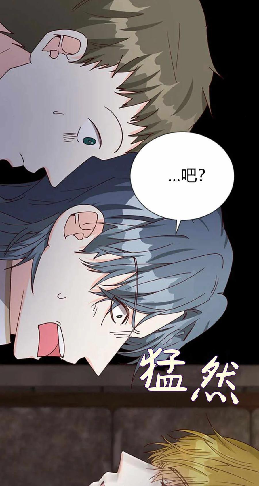 伯爵小姐的双重生活 第54话 第67页
