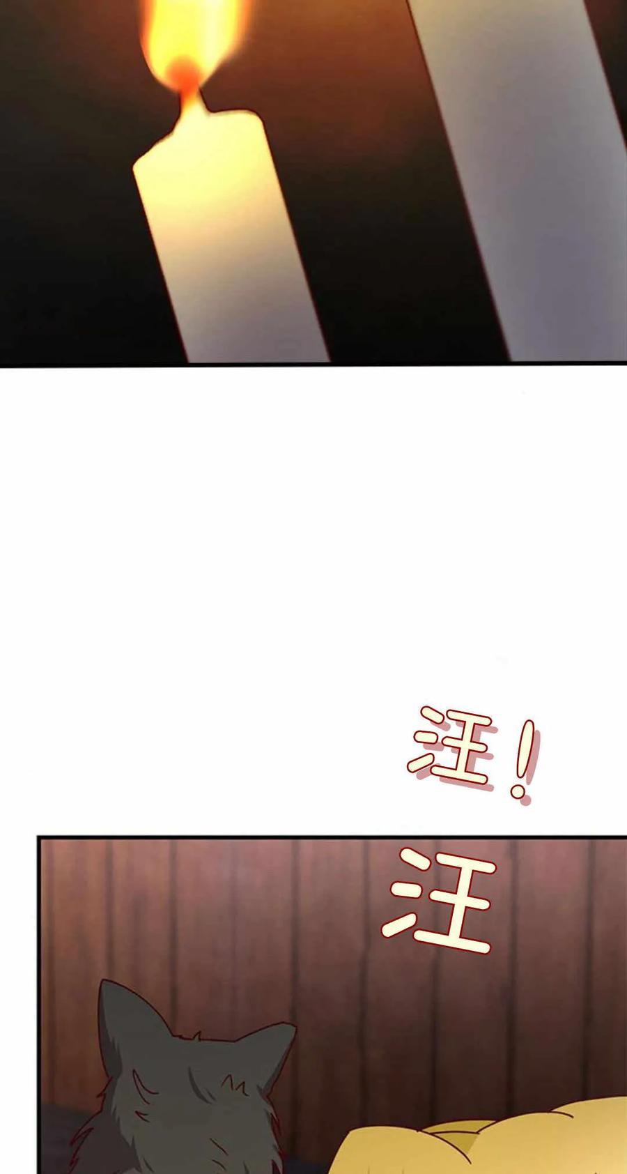 伯爵小姐的双重生活 第54话 第62页
