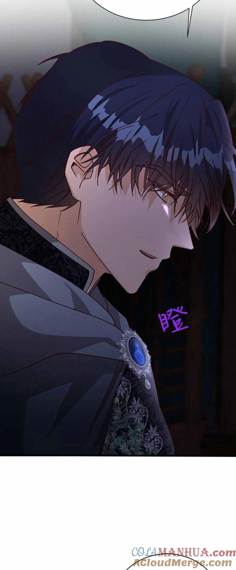 伯爵小姐的双重生活 第55话 第31页