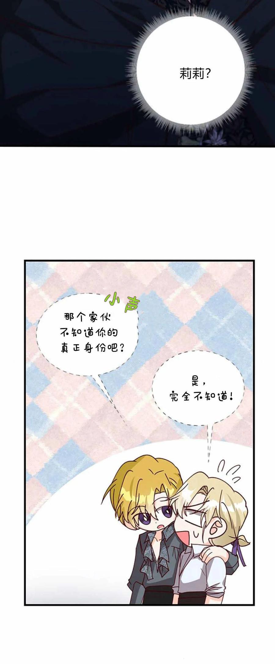 伯爵小姐的双重生活 第55话 第29页