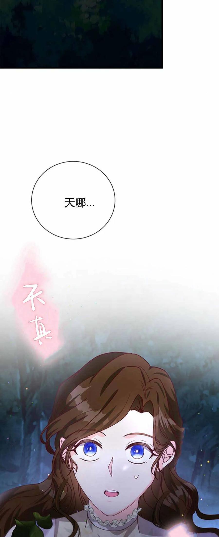 伯爵小姐的双重生活 第55话 第68页