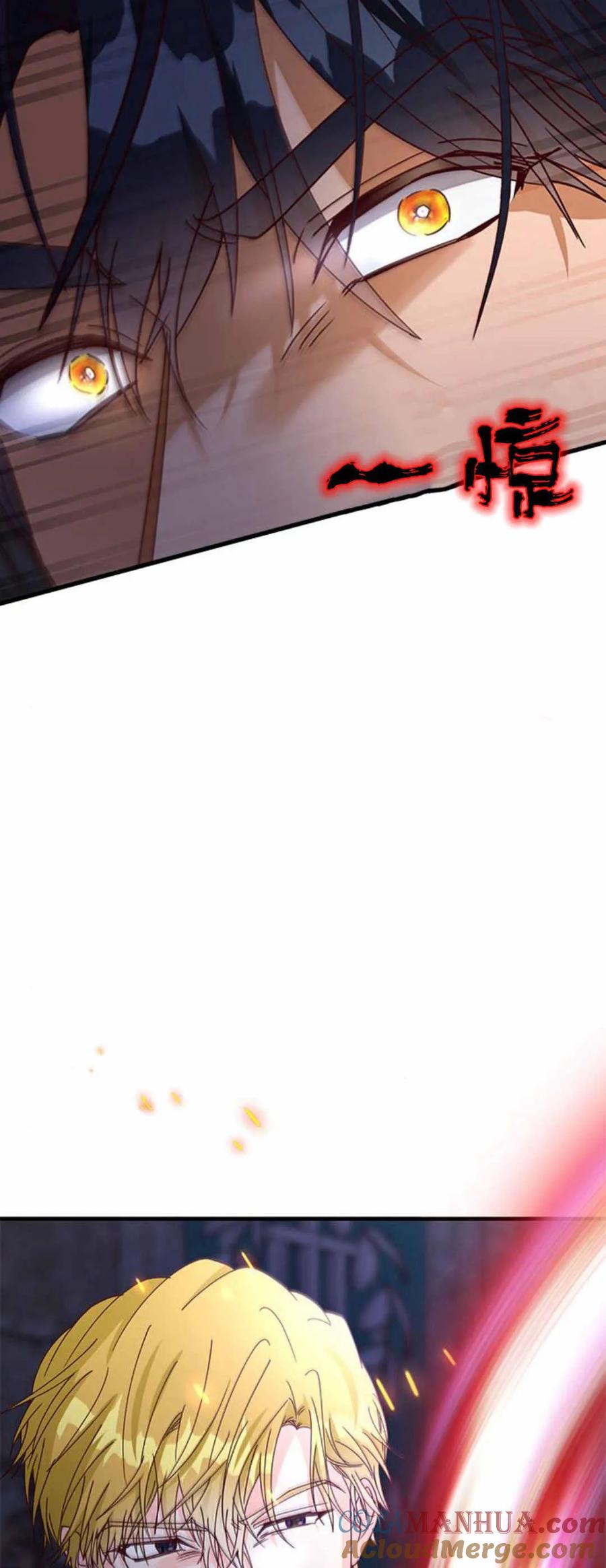 伯爵小姐的双重生活 第55话 第13页
