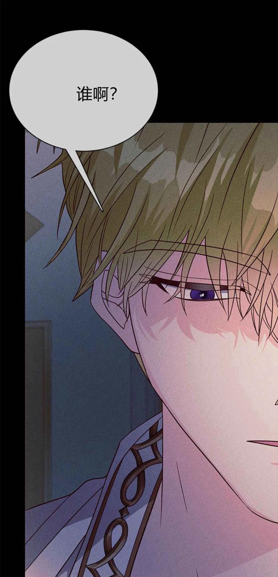 伯爵小姐的双重生活 第56话 第71页