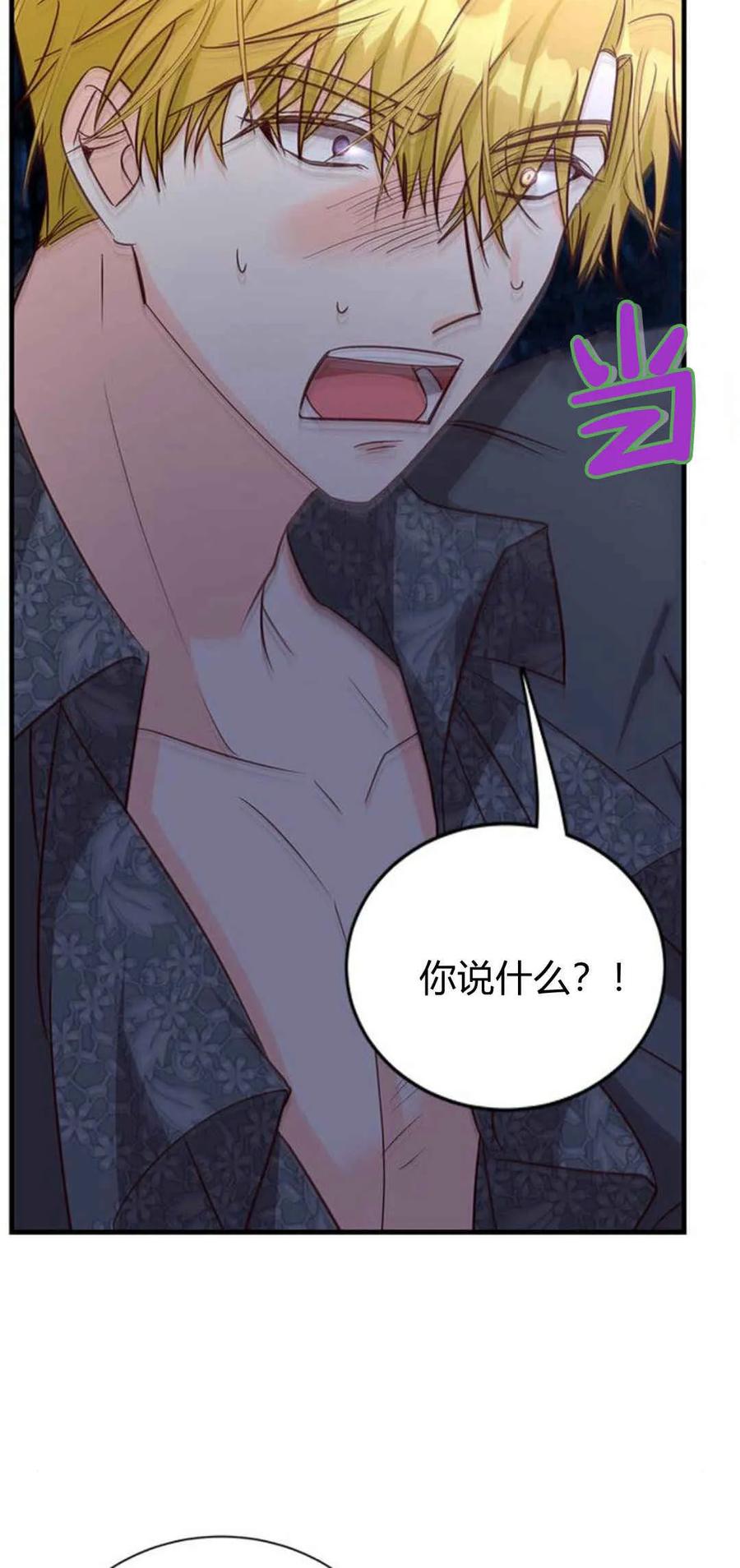 伯爵小姐的双重生活 第56话 第54页