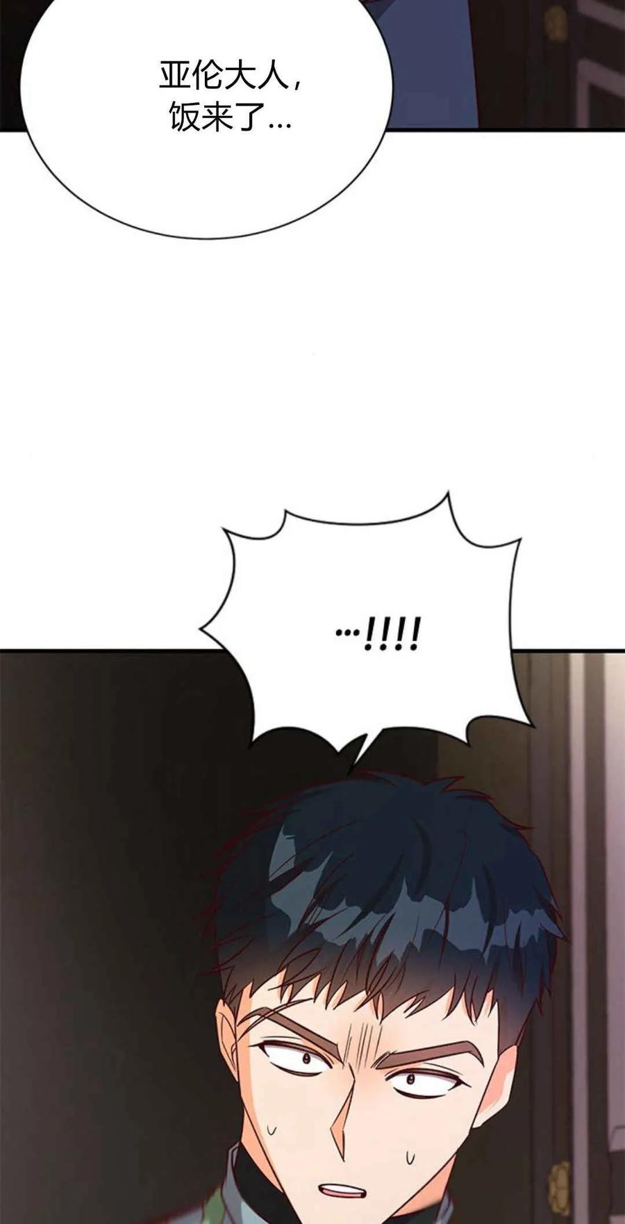 伯爵小姐的双重生活 第56话 第96页